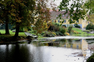 Elvedgaard1
