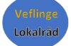 Lokalrådets generalforsamling