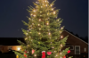 Glædelig jul og godt nytår