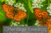 Fremtidens natur tirsdag d. 8. februar kl. 19:00